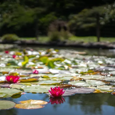 Hotel Garni Zur Alten Post