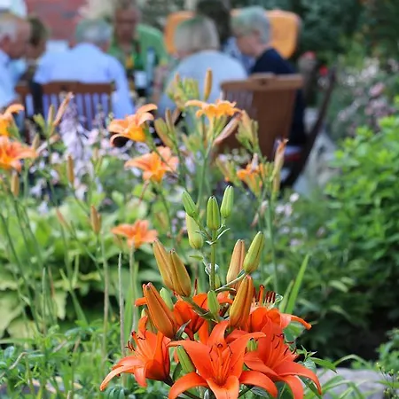 Hotel Garni Zur Alten Post Lembruch