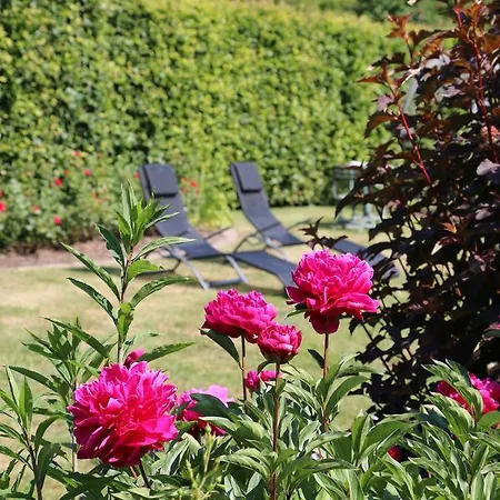 Garni Zur Alten Post Hotel